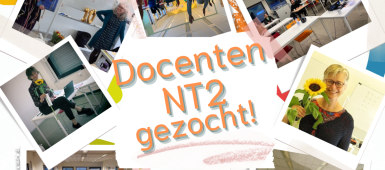 Docenten gezocht